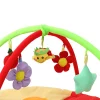Tapis d'éveil - Soleil & Fleur-3